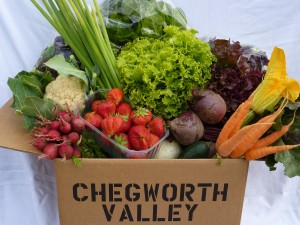 Chegworth veg box