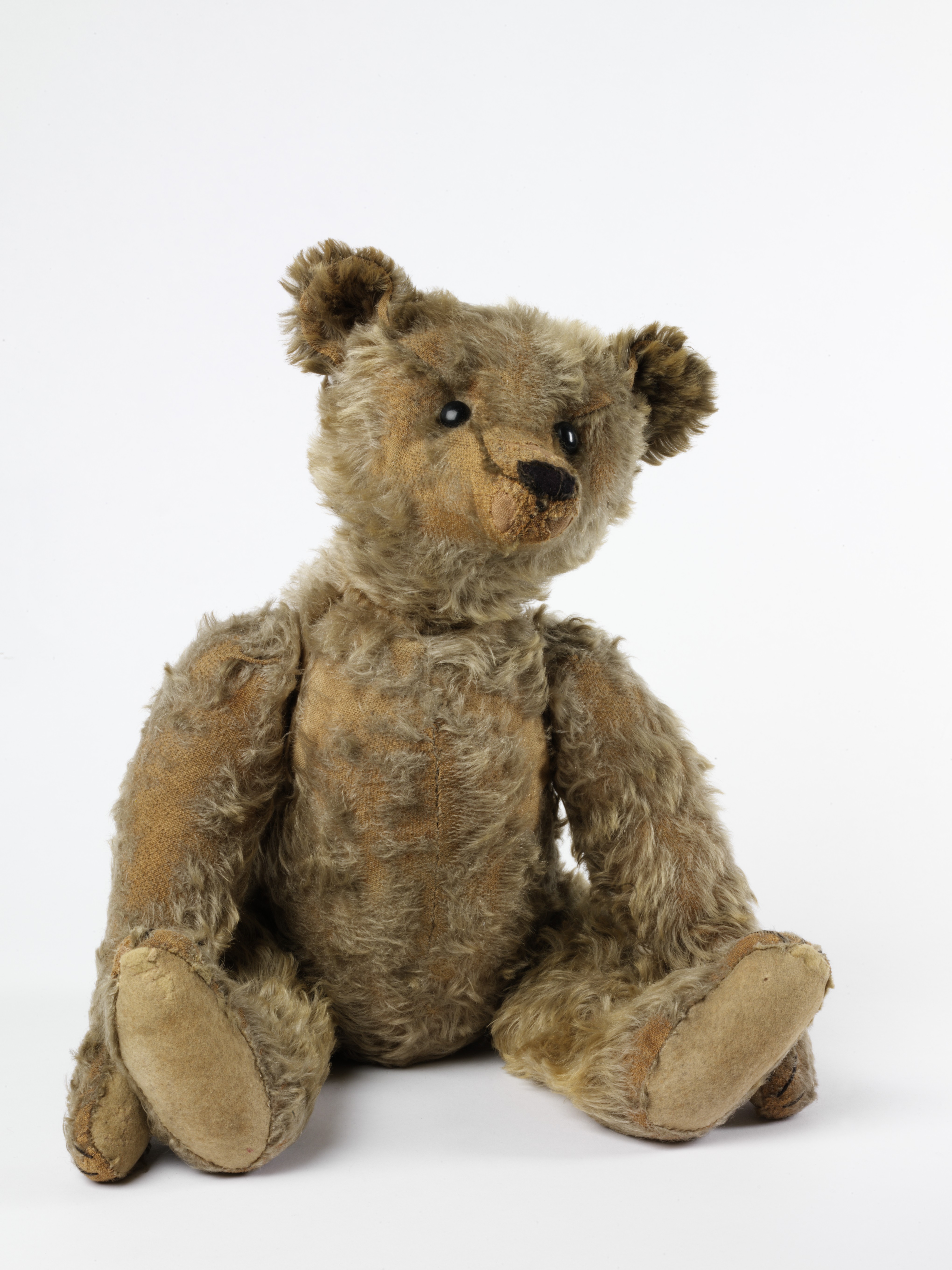 Teddy Bears Picnic anyone? – In Maidstone